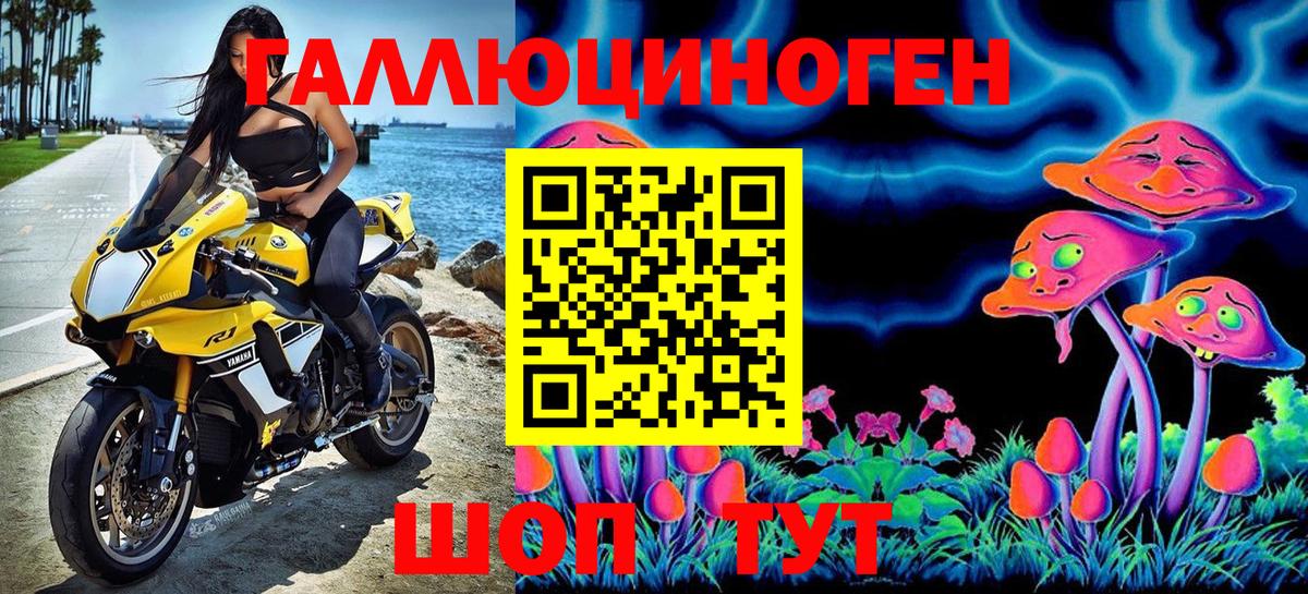 Асбест  где можно купить наркотик  Псилоцибиновые грибы Psilocybe  Вход с VPN  Псилоцибиновые грибы прущие грибы 