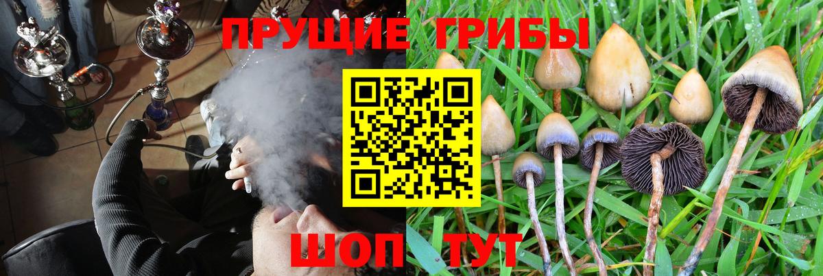 Галлюциногенные грибы Magic Shrooms Асбест